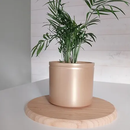 Ferienhaus Le Scailleteux, Petite Maison De Mineur, Climatisee Non Accessible Pmr Fumay