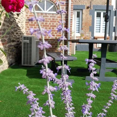 Le Scailleteux, Petite Maison De Mineur, Climatisee Non Accessible Pmr Ferienhaus *